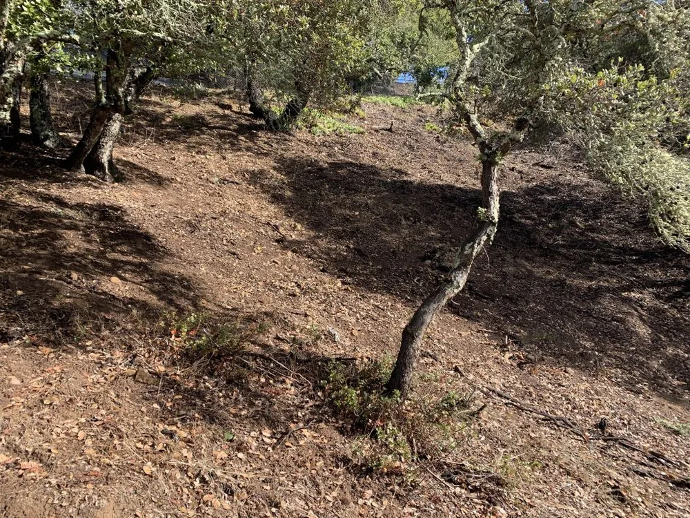 Top-rated garden landscaping in San Carlos, CA - H&H Wildland Fuel Mitigation