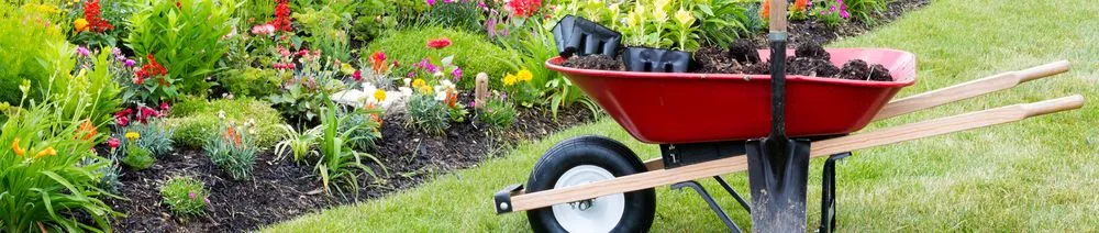 Custom yard cleanup service for beautiful yards across Fresno, CA - HHG Multiple Services