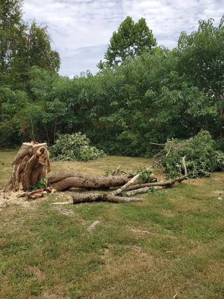 Trusted yard cleanup service for residential properties across Gladys, VA - HHH Home Improvements