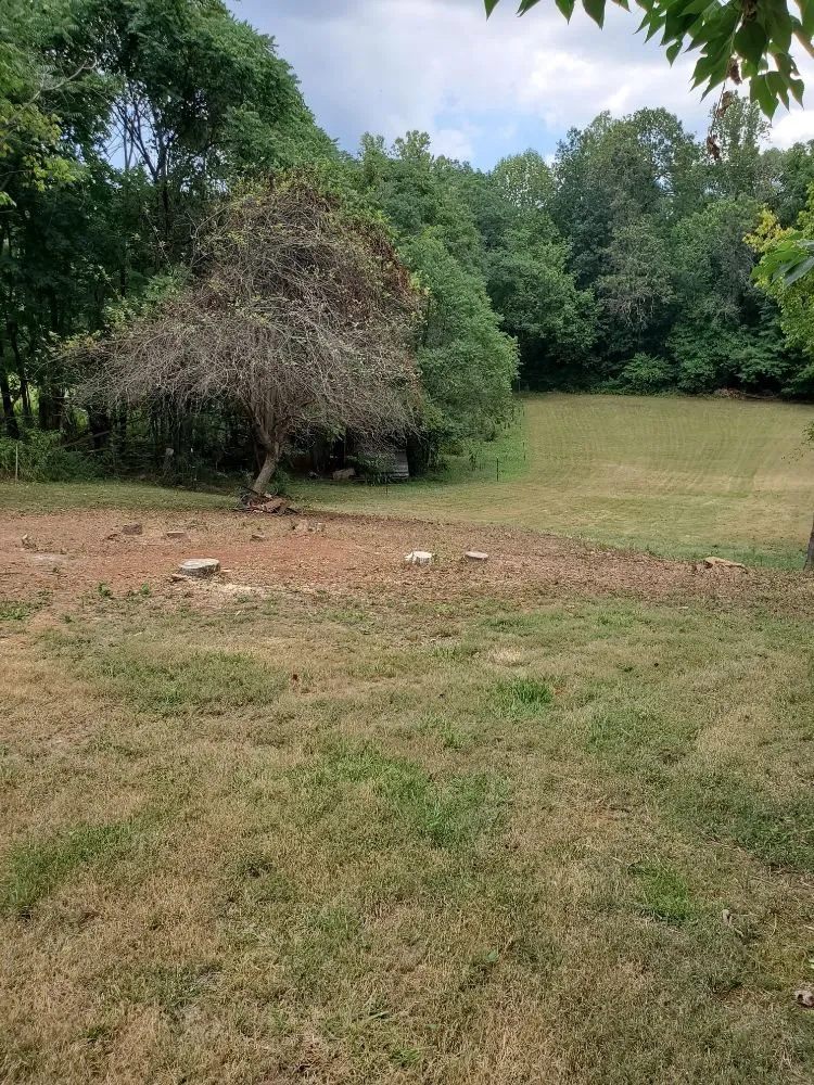 Top-rated yard maintenance for homes in Gladys, VA by HHH Home Improvements