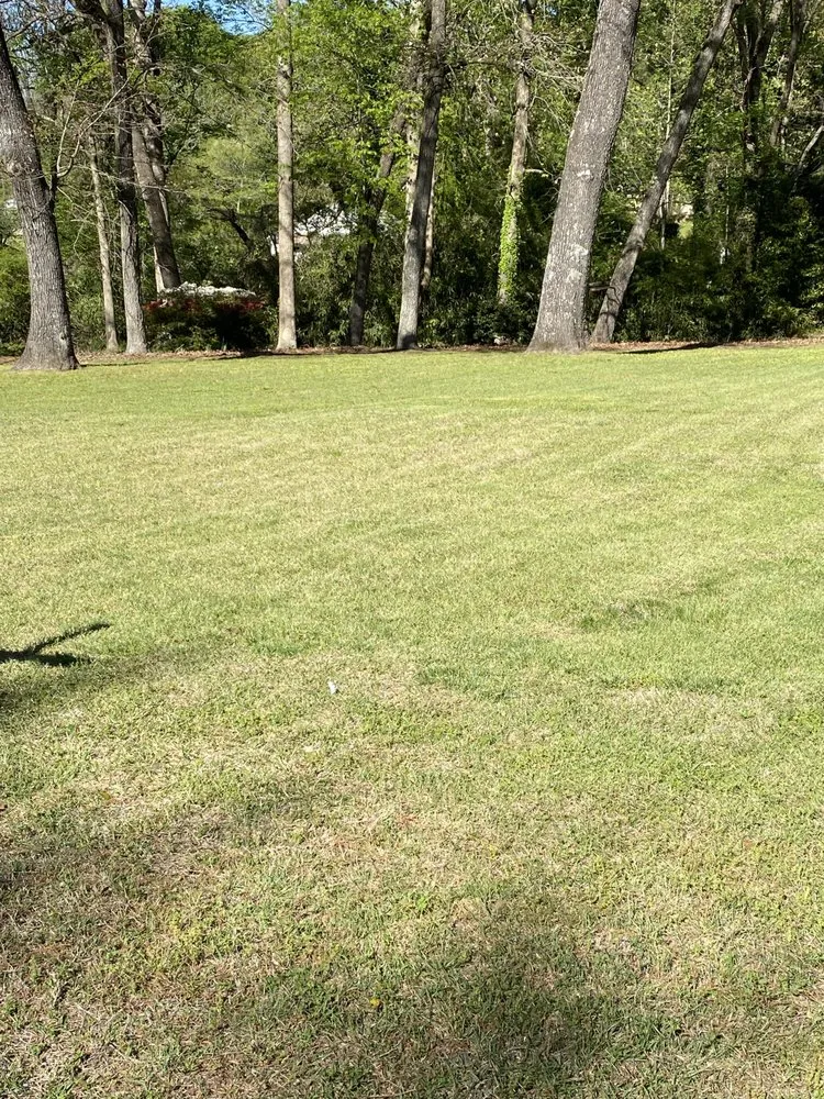 Local landscaping services for outdoor upgrades across Winder, GA - HHH Lawn Care Services