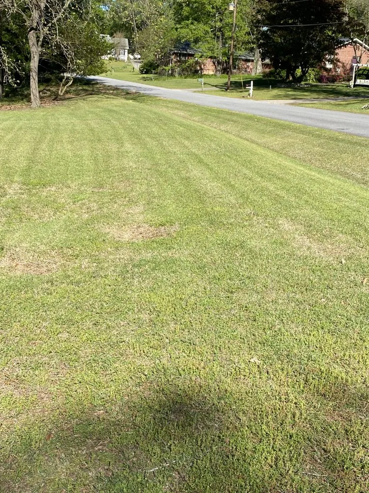 Professional landscape installation for year-round maintenance across Winder, GA - HHH Lawn Care Services