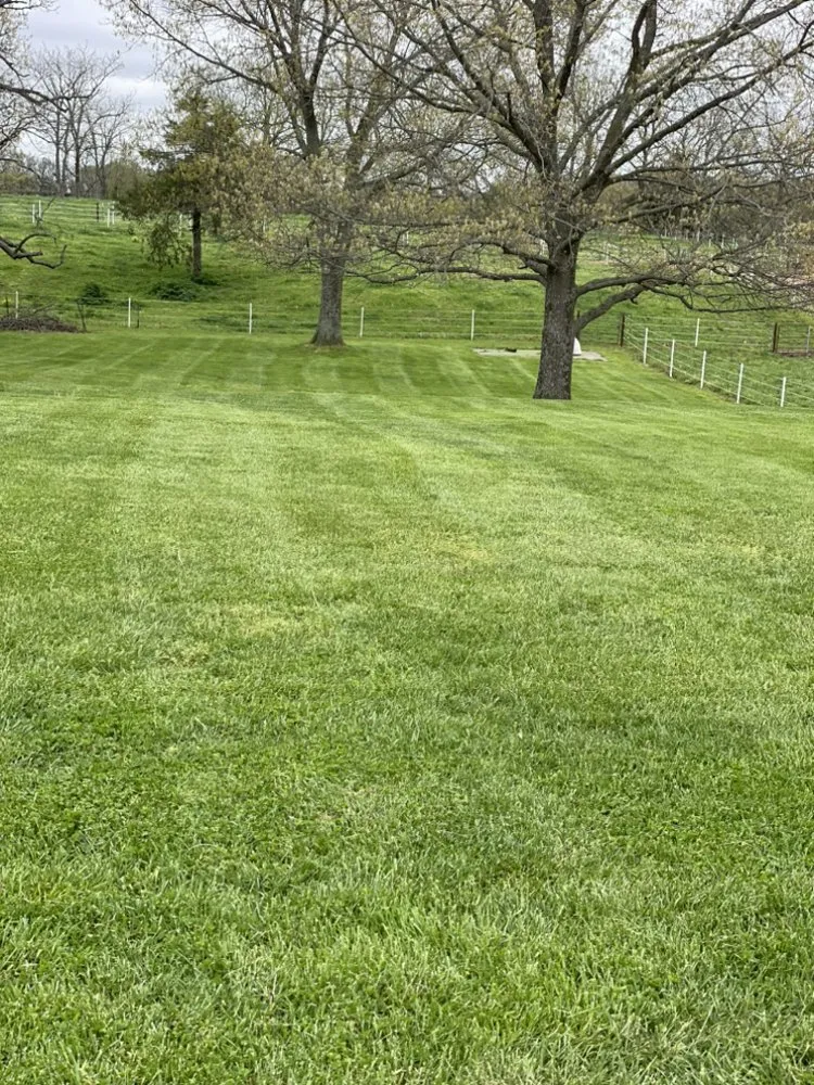 Reliable landscaping services experts serving Springfield, MO - HHH Lawn Service
