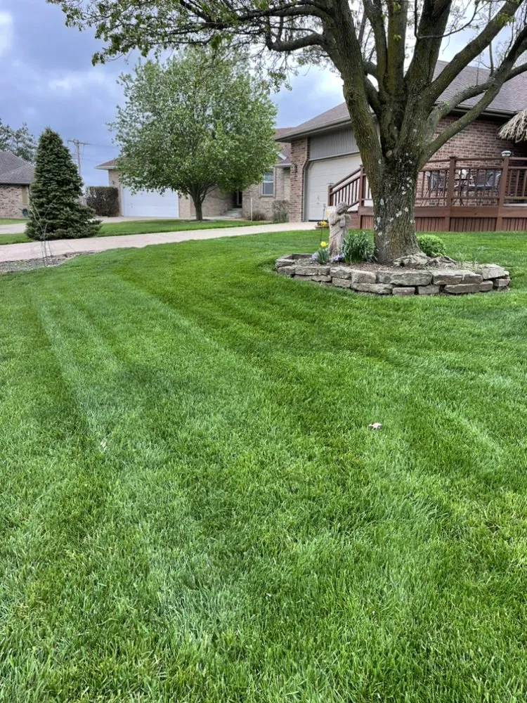 Reliable yard cleanup service for homes across Springfield, MO - HHH Lawn Service