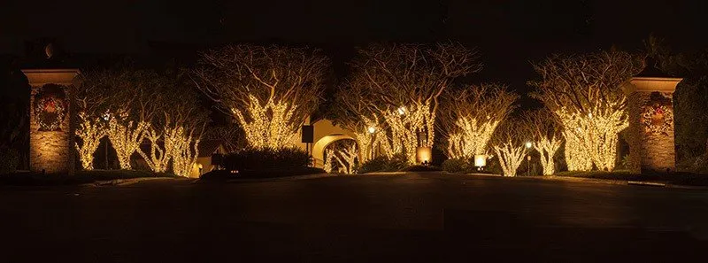 Top-rated landscape installation in Hilton Head Island, SC by HHI Holiday Lighting Professionals