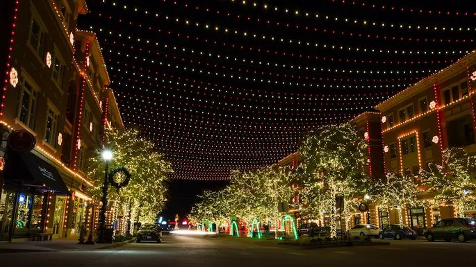 Top-rated yard maintenance in Hilton Head Island, SC by HHI Holiday Lighting Professionals
