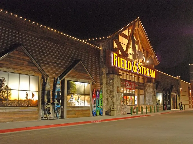 Professional yard cleanup service for homes in Hilton Head Island, SC by HHI Holiday Lighting Professionals