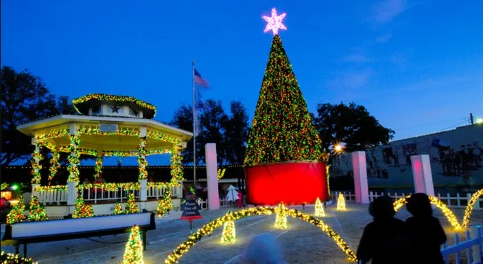 Expert landscaping services in Hilton Head Island, SC - HHI Holiday Lighting Professionals