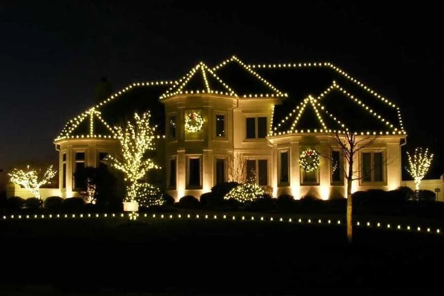Professional yard cleanup service in Hilton Head Island, SC by HHI Holiday Lighting Professionals