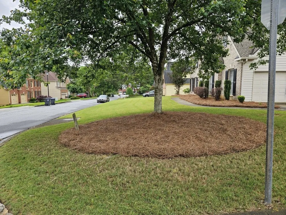 Top-rated outdoor landscaping experts serving Tucker, GA - Hi-Definition Landscape