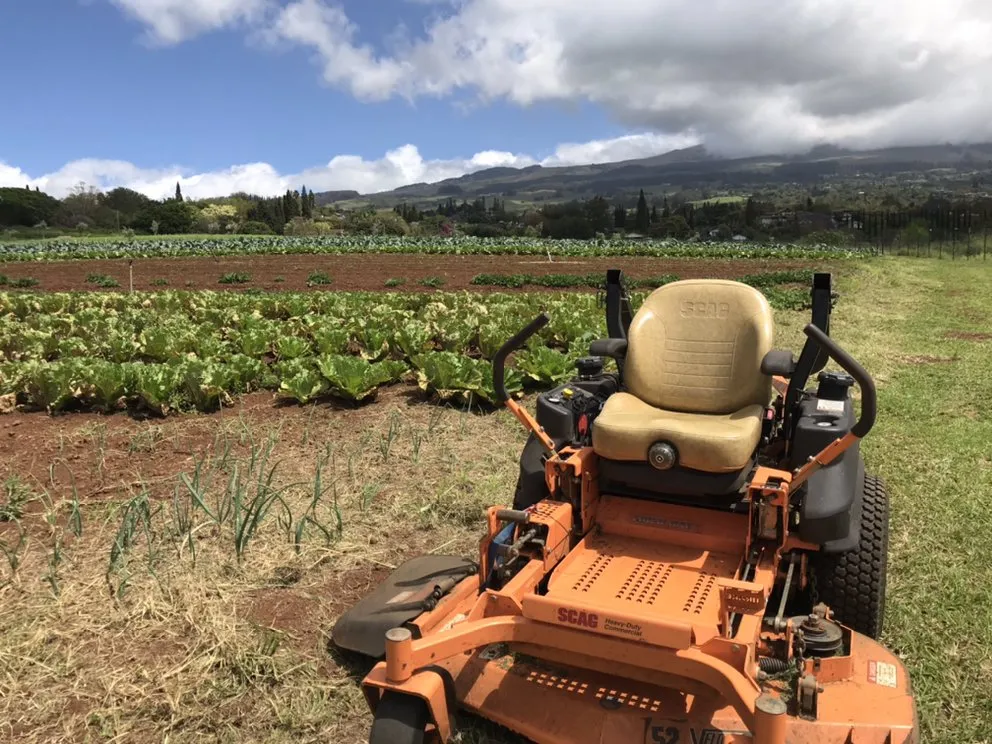 Trusted lawn care service in Haiku, HI - Hi Mowng