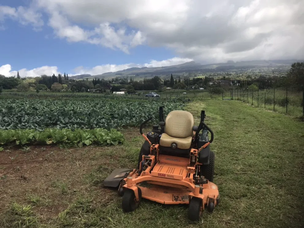 Local yard maintenance in Haiku, HI by Hi Mowng