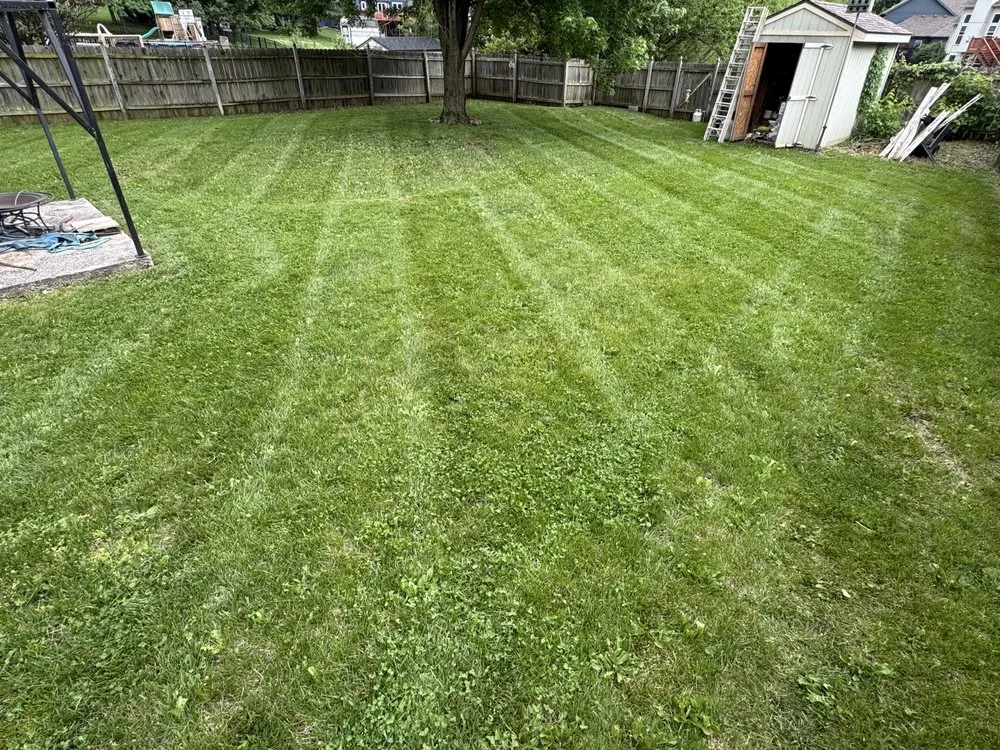 Reliable landscape design for homes across Kansas City, MO - Hi-N-Tite