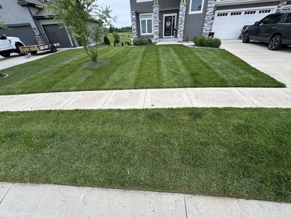 Trusted yard maintenance in Kansas City, MO - Hi-N-Tite