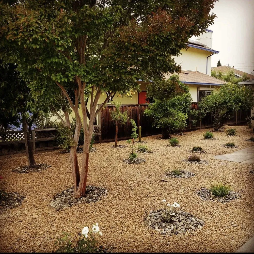 Custom yard maintenance for homes across Irwindale, CA - Hi Rise Landscaping