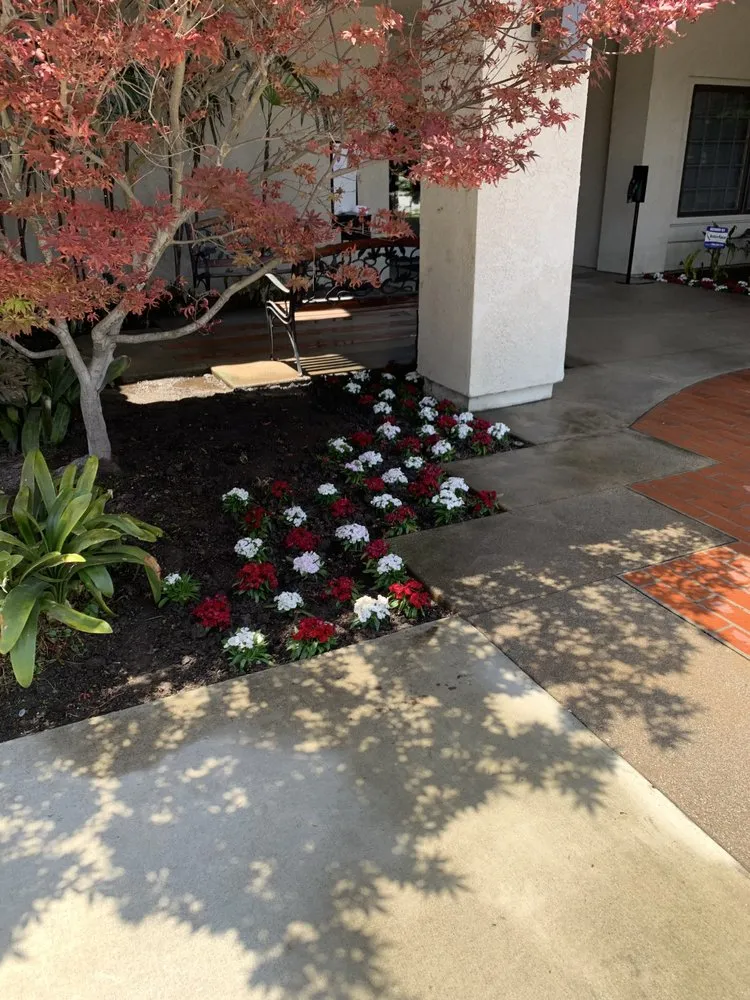 Professional garden landscaping experts serving Irwindale, CA - Hi Rise Landscaping