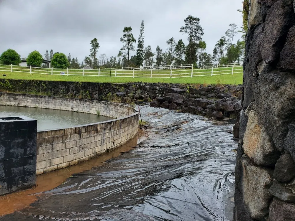 Custom yard cleanup service experts serving Hilo, HI - HI Roots Landscape