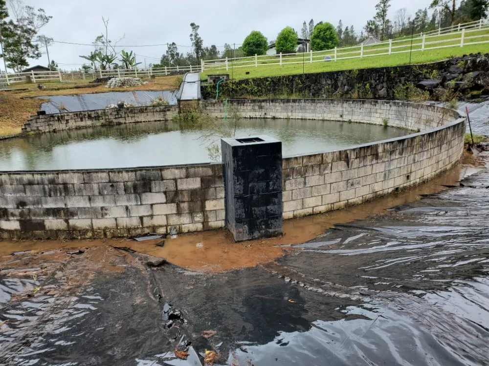Trusted residential landscaping in Hilo, HI by HI Roots Landscape