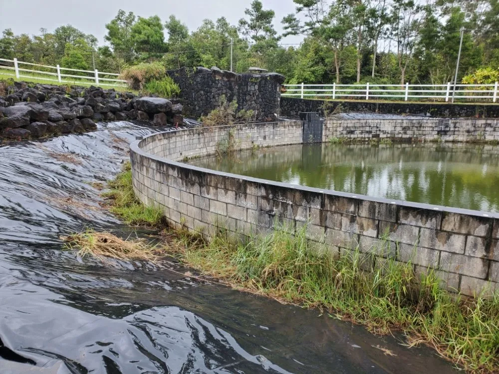Expert yard cleanup service for outdoor upgrades across Hilo, HI - HI Roots Landscape