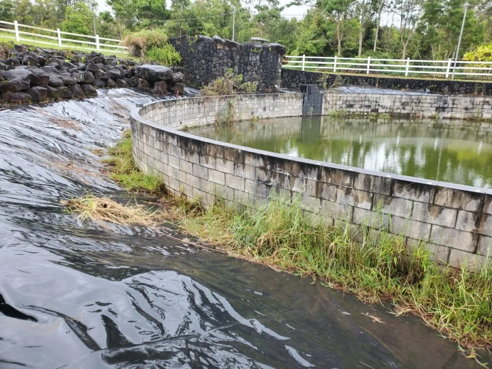 Trusted landscape installation experts serving Hilo, HI - HI Roots Landscape