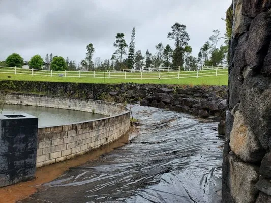 HI Roots Landscape Logo