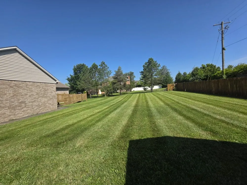Top-rated landscaping services experts serving Campbellsburg, KY - Hi Viz Property Management