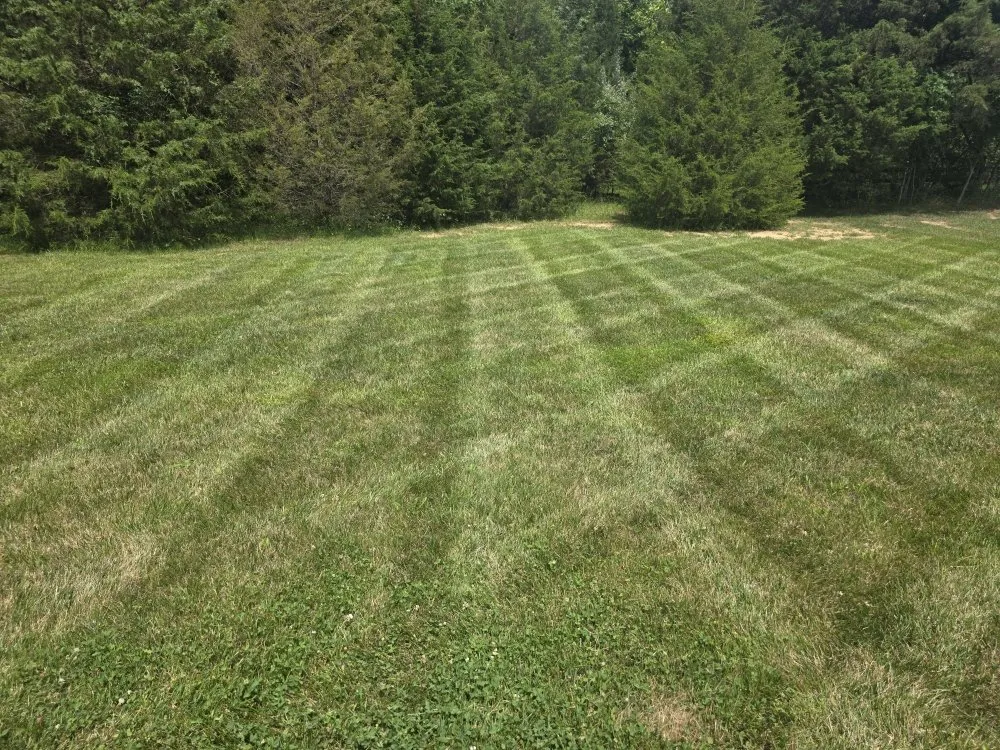 Expert residential landscaping in Campbellsburg, KY by Hi Viz Property Management