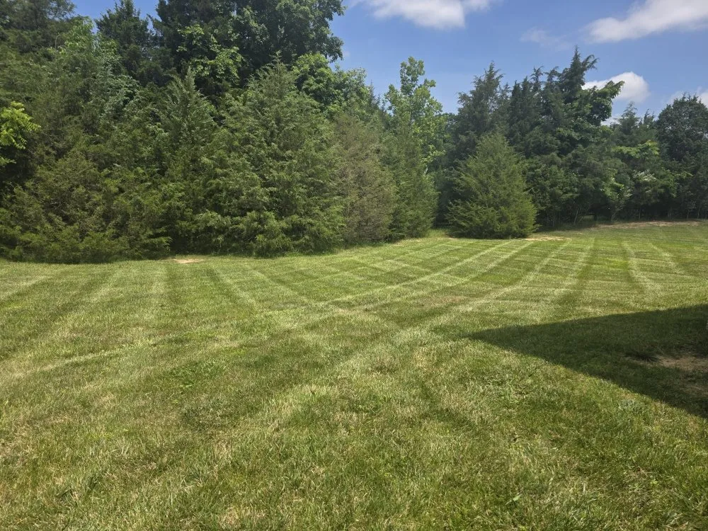 Professional yard maintenance for outdoor upgrades in Campbellsburg, KY by Hi Viz Property Management