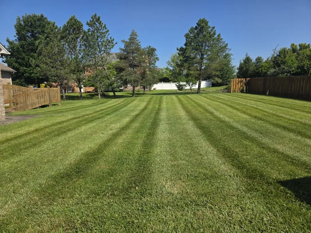 Trusted landscape design for outdoor upgrades across Campbellsburg, KY - Hi Viz Property Management