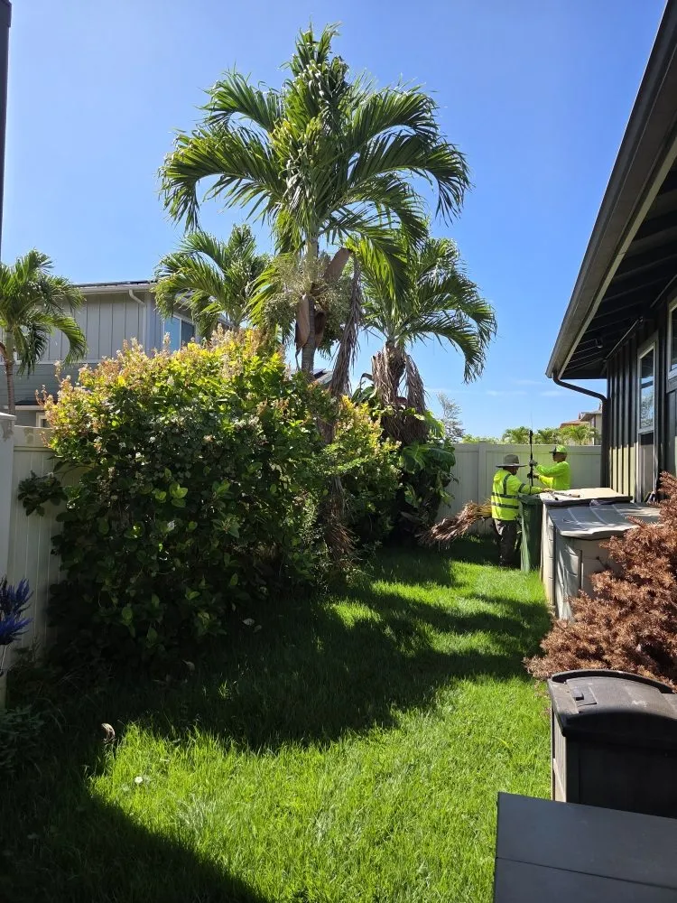Local garden landscaping in Kapolei, HI by Hi808Lawnpros