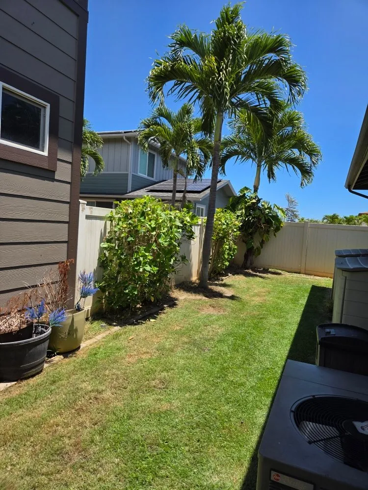 Expert yard cleanup service for beautiful yards across Kapolei, HI - Hi808Lawnpros