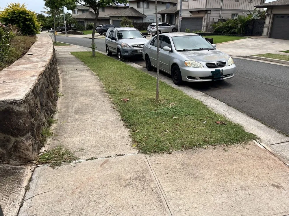 Reliable residential landscaping in Kapolei, HI by Hi808Lawnpros