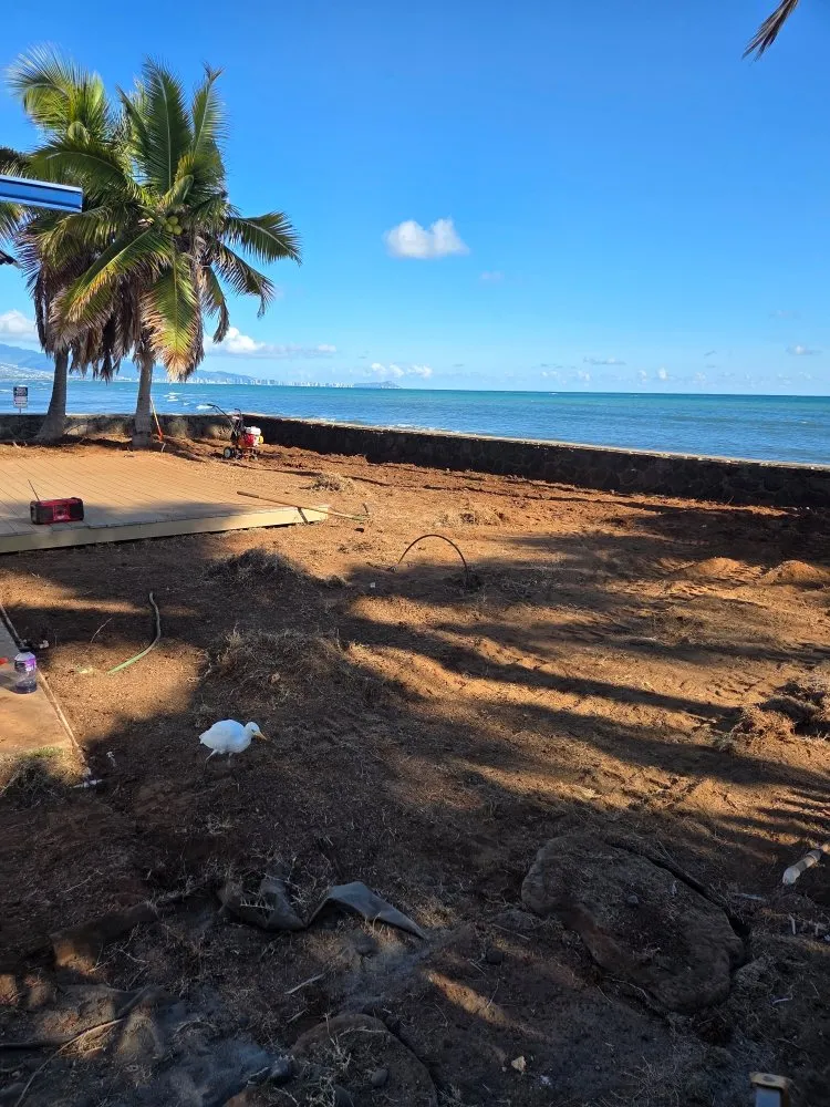 Expert yard cleanup service in Kapolei, HI by Hi808Lawnpros