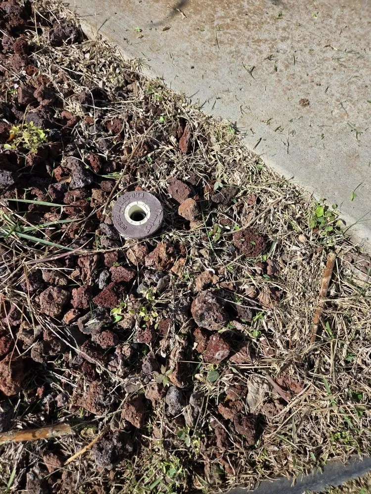 Reliable lawn care service in Kapolei, HI by Hi808Lawnpros