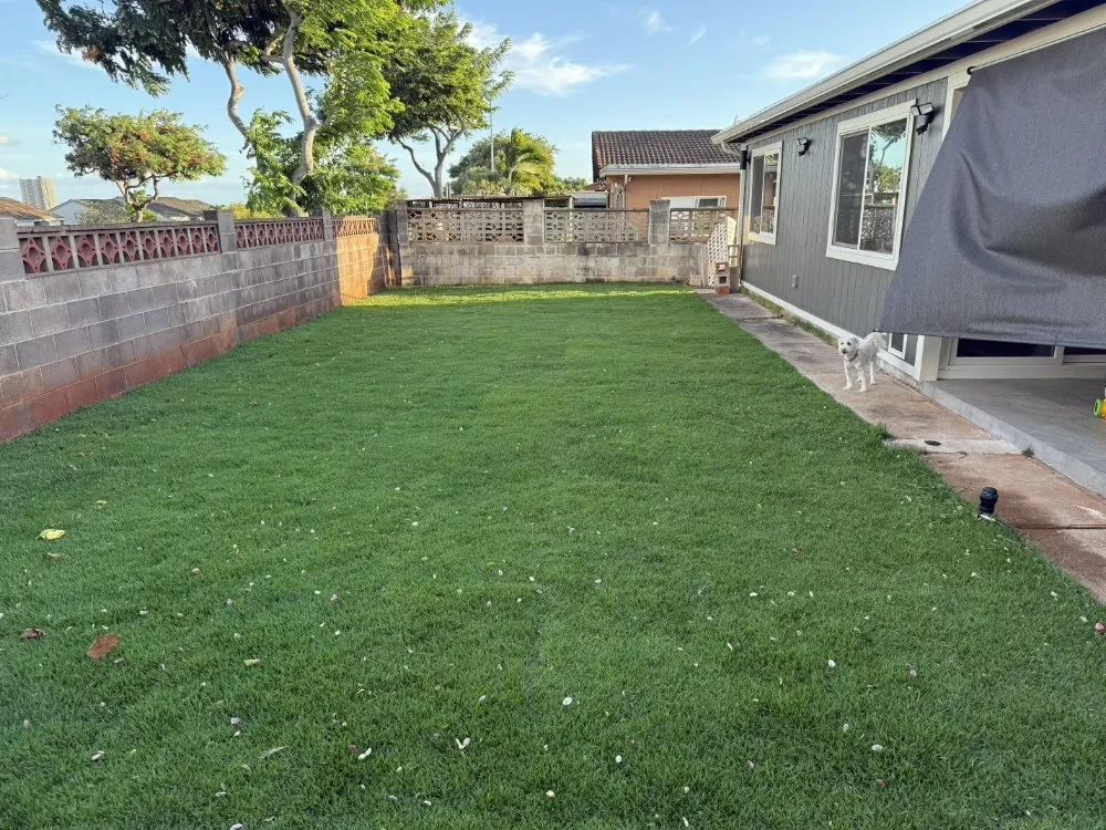 Local residential landscaping in Kapolei, HI by Hi808Lawnpros