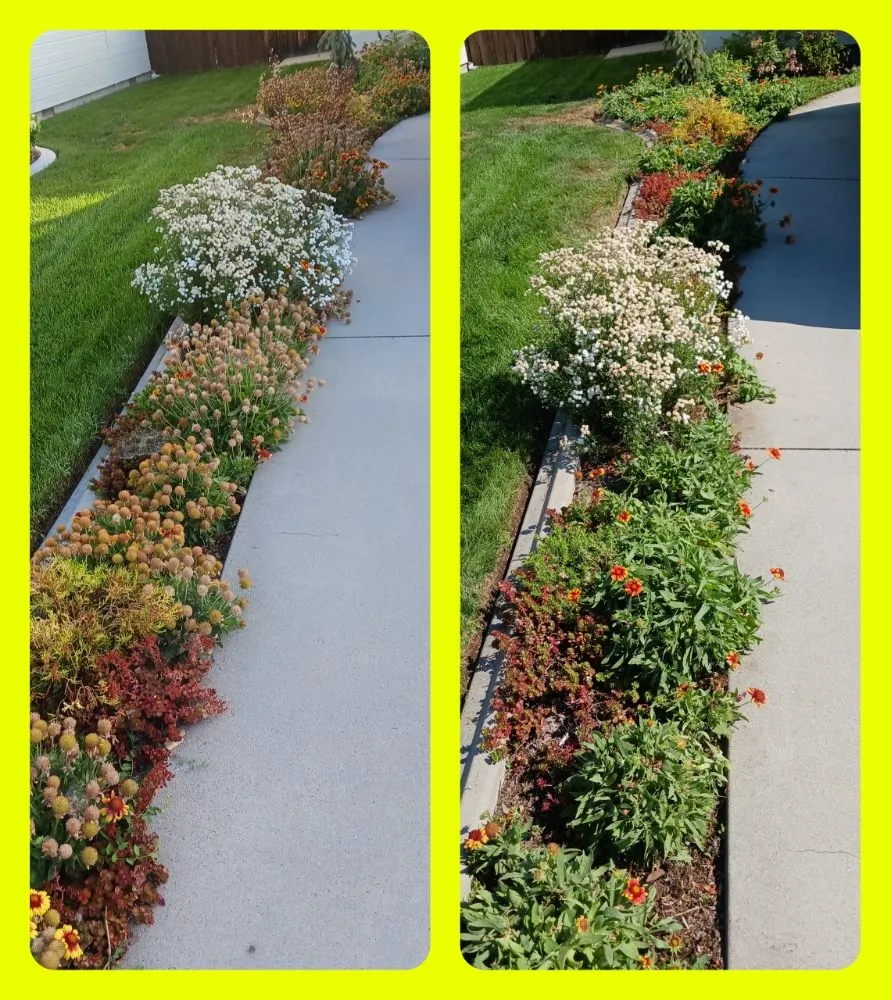 Trusted lawn care service in Boise, ID - Hibbys Gardens