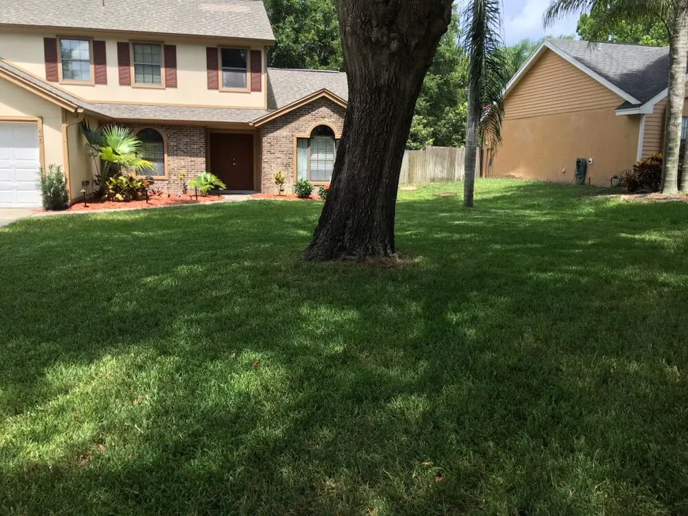 Reliable outdoor landscaping for outdoor upgrades in Geneva, FL by Hibiscus Landscaping