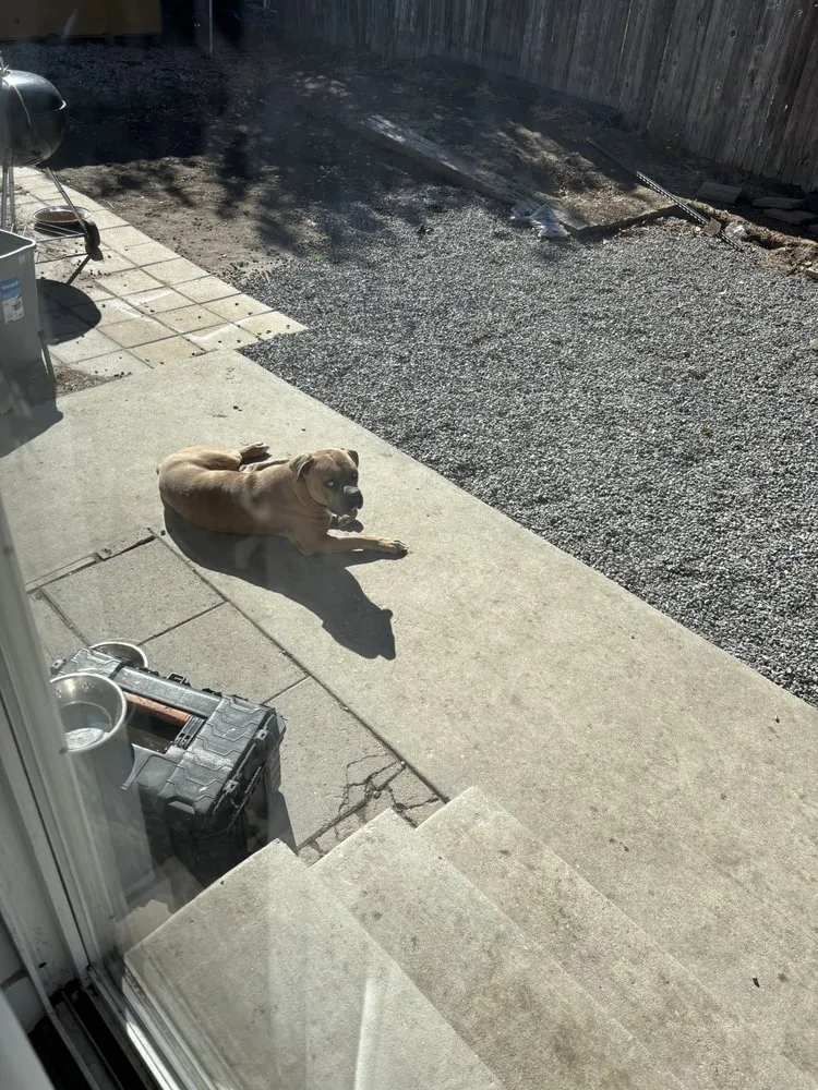 Reliable yard cleanup service for year-round maintenance in West Jordan, UT by Hibiscus Landscaping Services