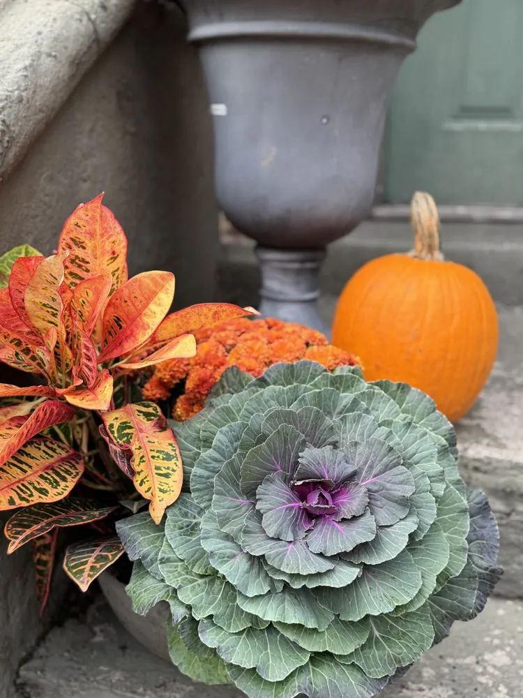 Top-rated lawn mowing service for residential properties across Jersey City, NJ - Hibiscus Planters