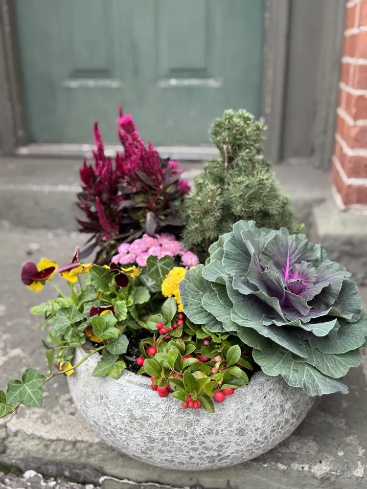 Trusted garden landscaping in Jersey City, NJ by Hibiscus Planters