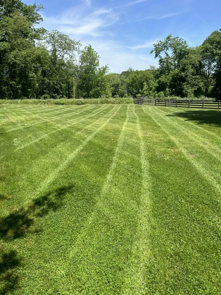 Reliable yard maintenance for residential properties in East Brunswick, NJ by Hichens Property Maintenance