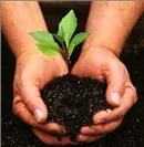 Local residential landscaping experts serving Norwood, MA - Hickey Tree And Landscape Service