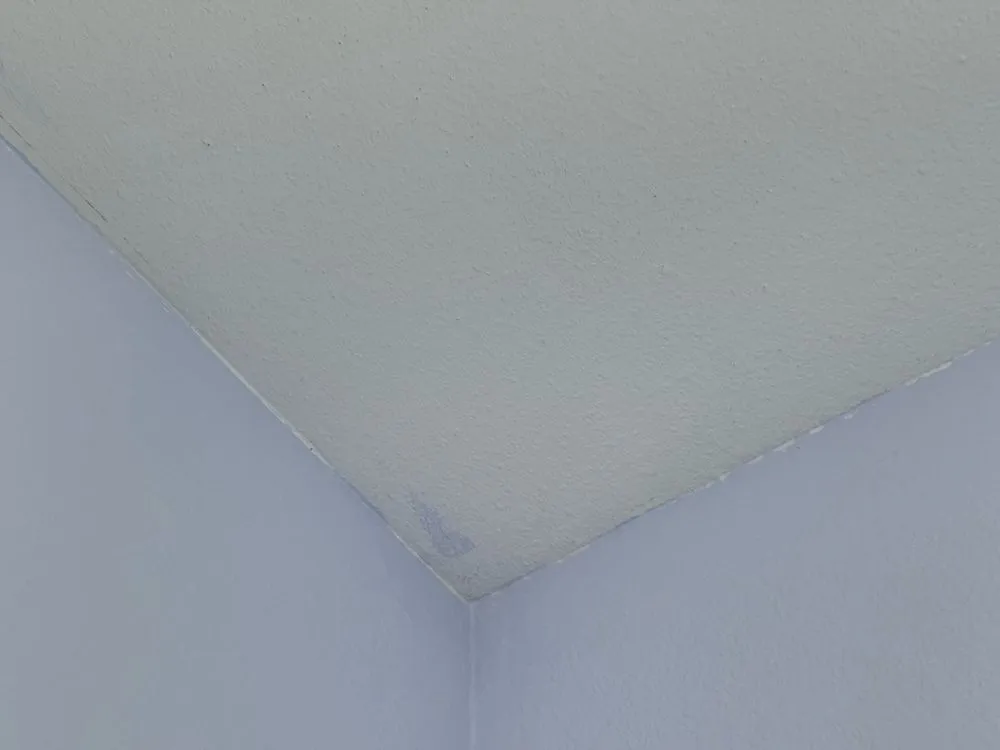 Custom yard cleanup service experts serving Boyd, TX - Hickman Handy Services