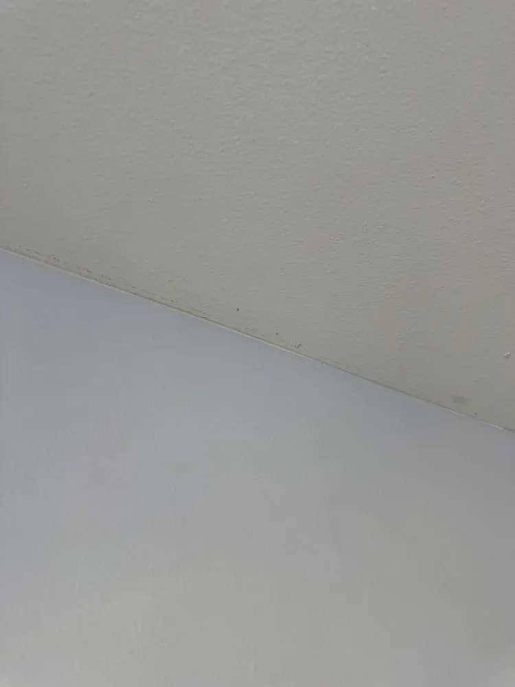 Affordable landscaping services near you in Boyd, TX by Hickman Handy Services