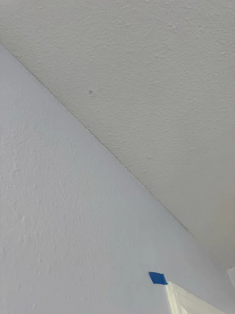 Trusted landscaping services experts serving Boyd, TX - Hickman Handy Services