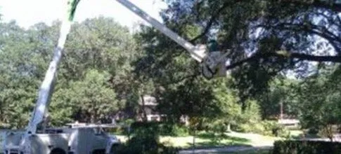 Reliable lawn care service experts serving Daphne, AL - Hickman Tree Service