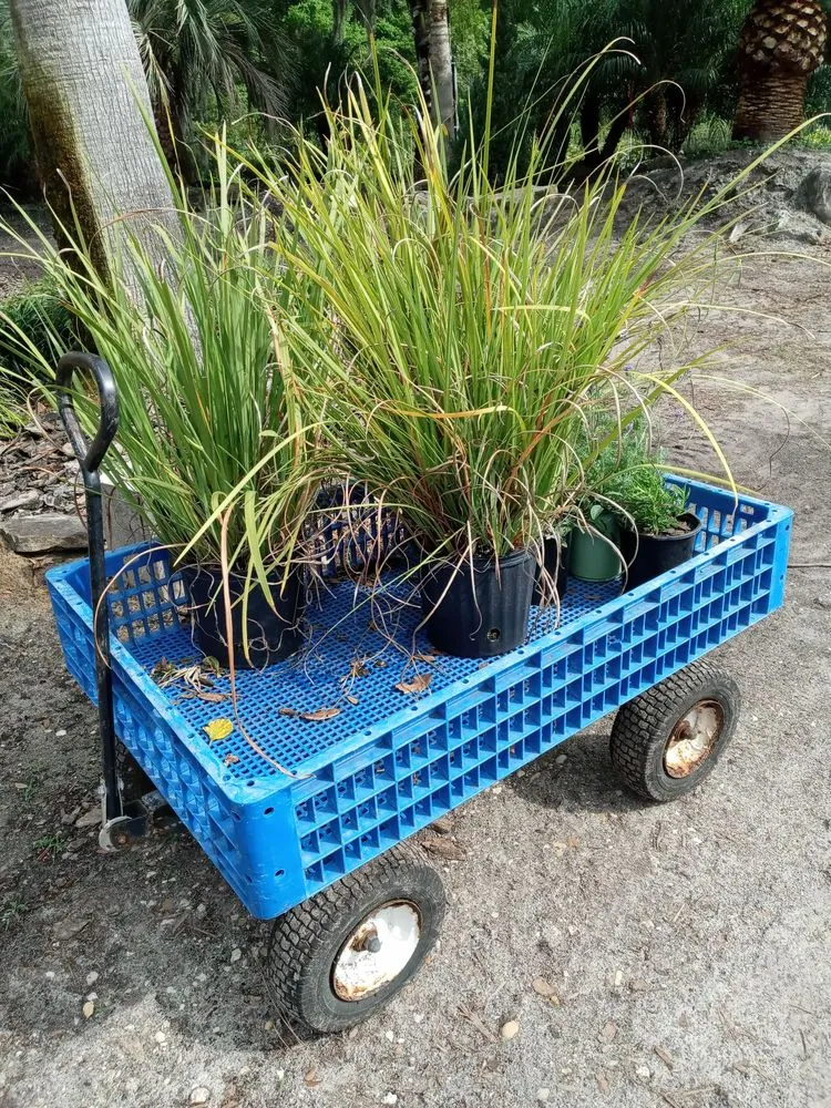 Local outdoor landscaping for year-round maintenance across Jacksonville, FL - Hickory Creek Nursery