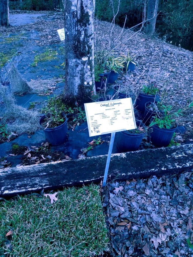 Professional garden landscaping in Jacksonville, FL by Hickory Creek Nursery