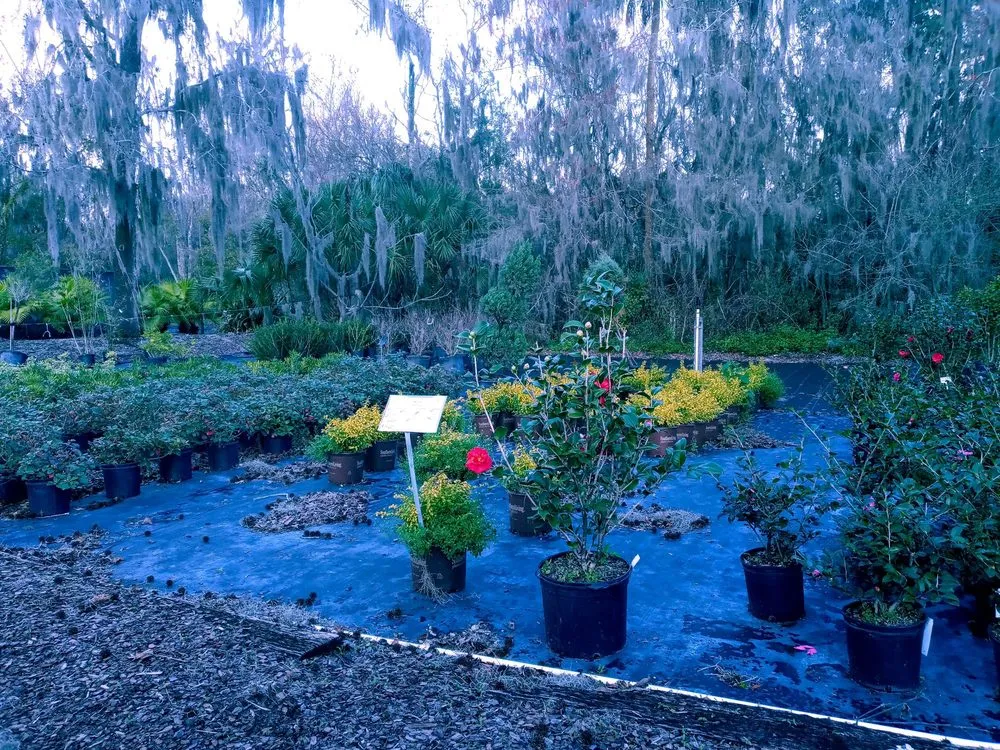 Top-rated residential landscaping in Jacksonville, FL by Hickory Creek Nursery