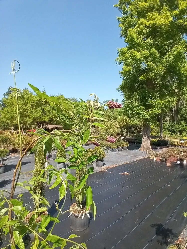 Professional landscaping services in Jacksonville, FL by Hickory Creek Nursery